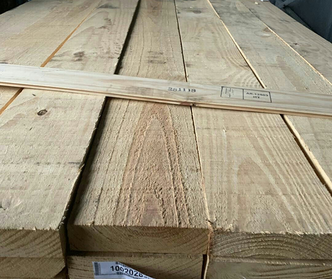三都镇阿根廷松木